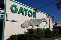 Gator Lodge Jacksonville Exteriör bild